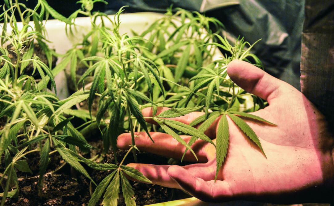 Foto: Archivo/EL UNIVERSAL