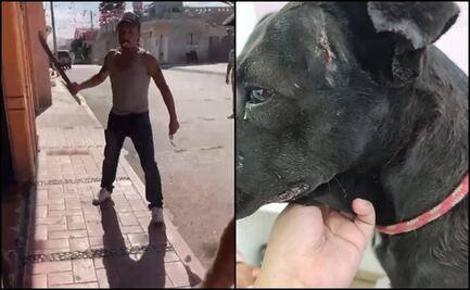 Detienen al probable responsable de agredir con un machete a una perrita en Hidalgo
