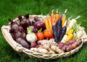 La verdura con efecto de colágeno para la piel que previene el asma