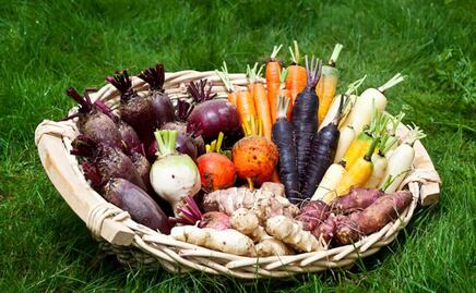 El superalimento que rejuvenece, promueve el colágeno y combate el cáncer