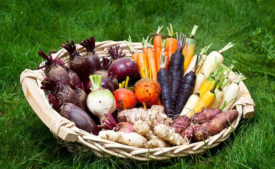 El superalimento que rejuvenece, promueve el colágeno y combate el cáncer.
Foto:Pixabay