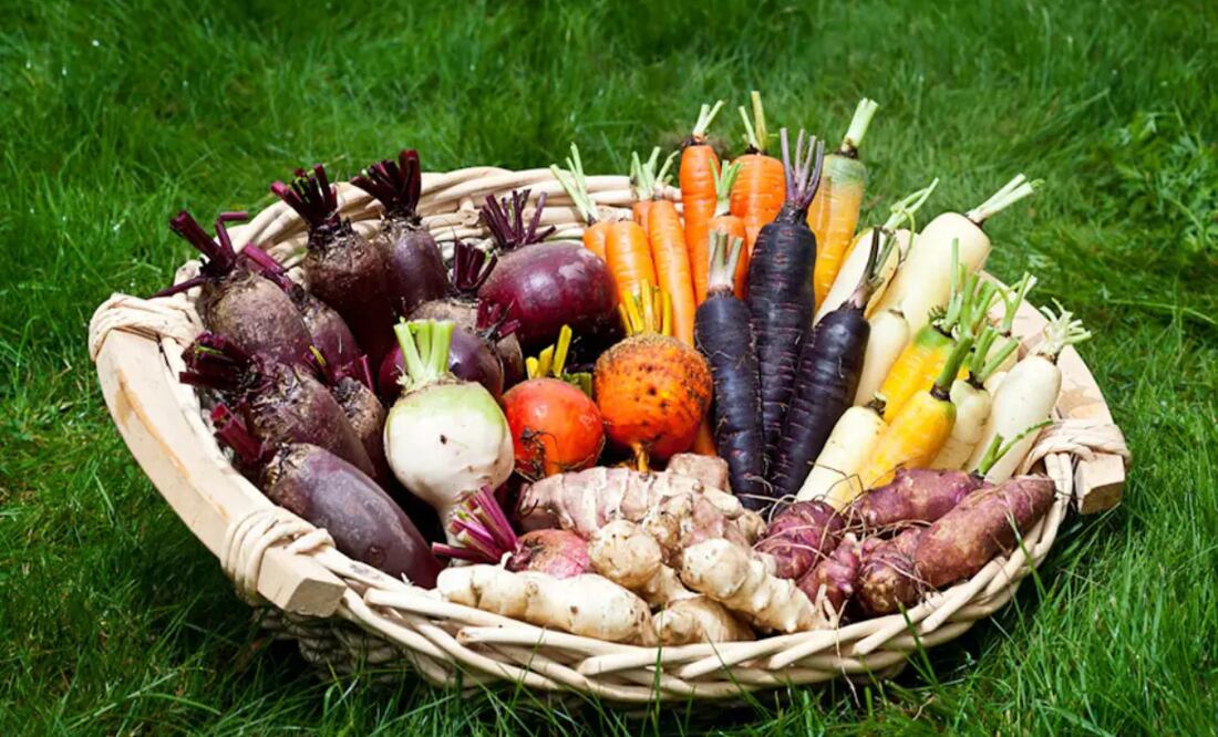 Verdura | Foto:Pixabay