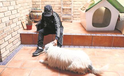 Caminando a su lado: espacio de amor para lomitos