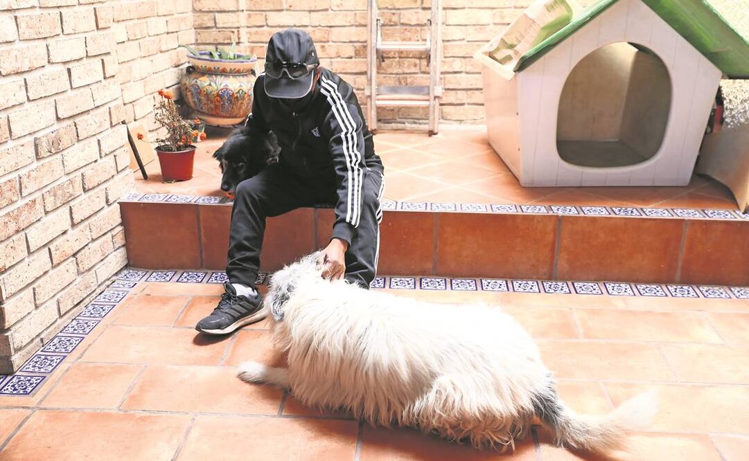 Alfredo y Elizabeth acondicionaron su hogar para salvaguardar a los canes que necesitaban su ayuda. Antes de la pandemia, en el albergue vivían 70 perros, pero tras los meses de confinamiento ese número aumentó a 150. Fotos: Atenea Campuzano/ EL UNIVERSAL