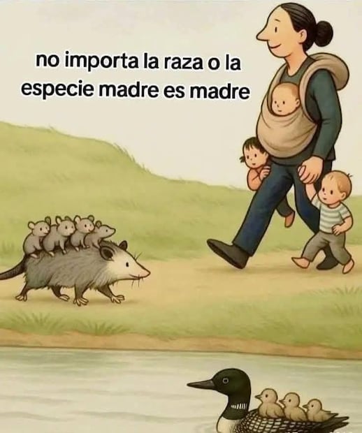 Imágenes del Día de las Madres. Foto: X