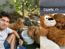 Checo Pérez y su historial de mascotas; el piloto mexicano es fanático de los perros