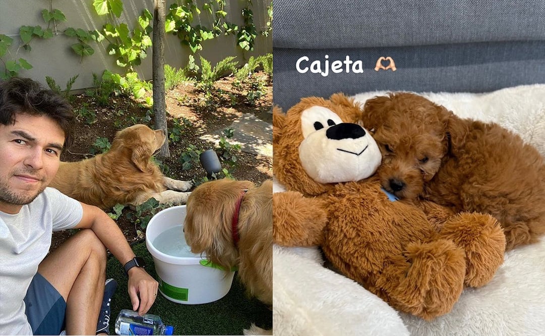 El piloto es un gran amante de los perros | FOTOS: Especial