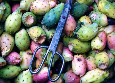 Por qué es bueno comer tuna: beneficios y propiedades