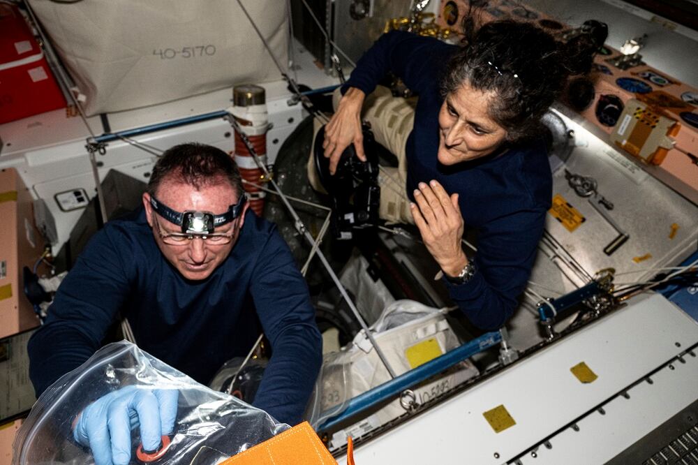 Los astronautas Butch Wilmore, izquierda, y Suni Williams inspeccionan el hardware de seguridad a bordo de la Estación Espacial Internacional el 9 de agosto de 2024. Foto: AP