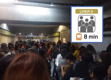 Línea 3: reportan máxima afluencia y espera de hasta 8 minutos; “tiempo de abordar será lento”, señala Metro CDMX