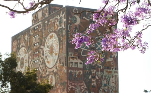Pase reglamentado de la UNAM, todo lo que hay que saber; qué es, cómo se aplica y licenciaturas con requisitos adicionales