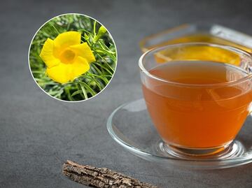 Lo que debes saber del té de hueso de fraile para bajar de peso