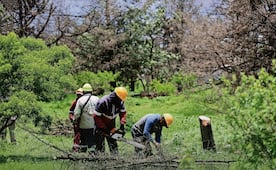 Cámara de Comercio Internacional pide a México actuar ante "desafíos ambientales"; plantea economía "más competitiva y resiliente"