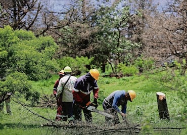 Rescatan pulmón del oriente; es el Cerro de la Estrella