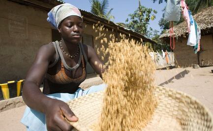 Gambia contra el mundo: el país africano que se ha vuelto referente contra el cambio climático