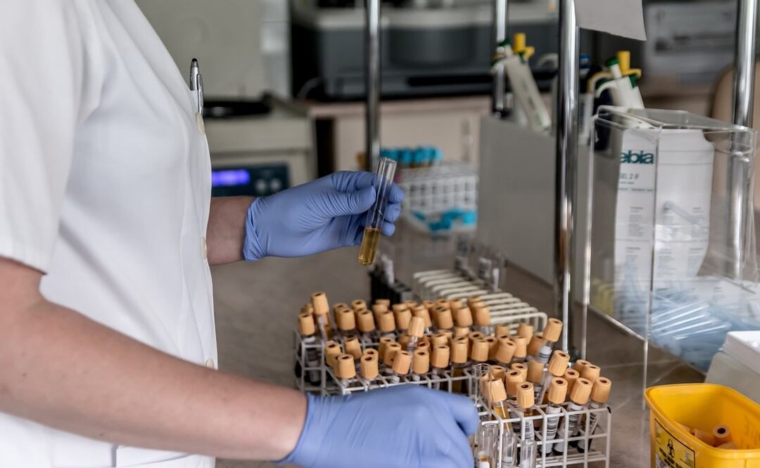 Imagen Ilustrativa / Pixabay