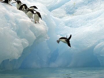 Comienza la primera expedición científica alrededor de la Antártida