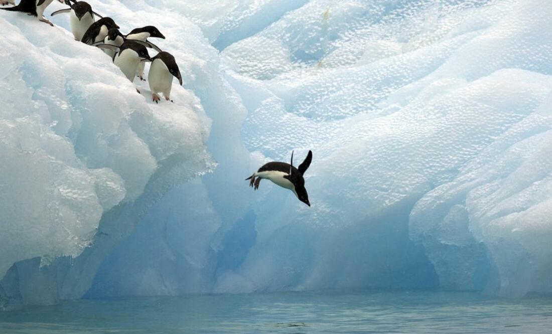 (FOTO: Archivo/EL UNIVERSAL)