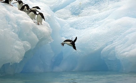 Comienza la primera expedición científica alrededor de la Antártida