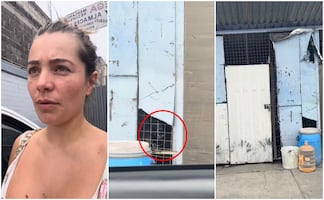 VIDEO: Denuncian presunto caso de maltrato animal en Mercado de Jamaica; “tienen a 6 perros encerrados todo el día bajo el sol”