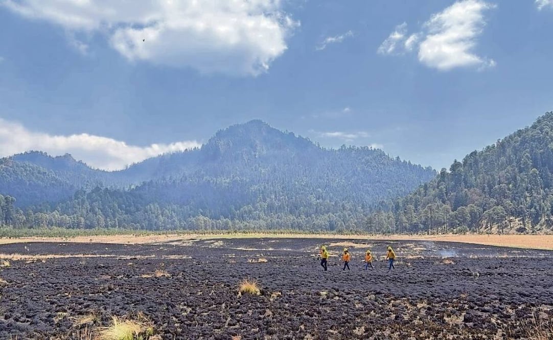 Los técnicos de Probosque realizan quemas controladas para evitar que la maleza sirva de combustible o alimente un incendio forestal. Foto: Claudia Rodríguez / EL UNIVERSAL