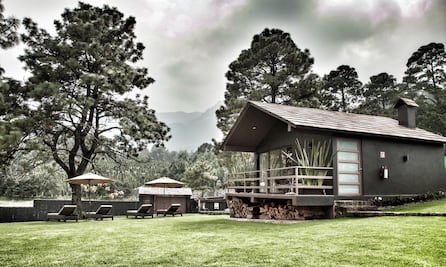 3 hotelitos que te harán olvidar que estás en CDMX