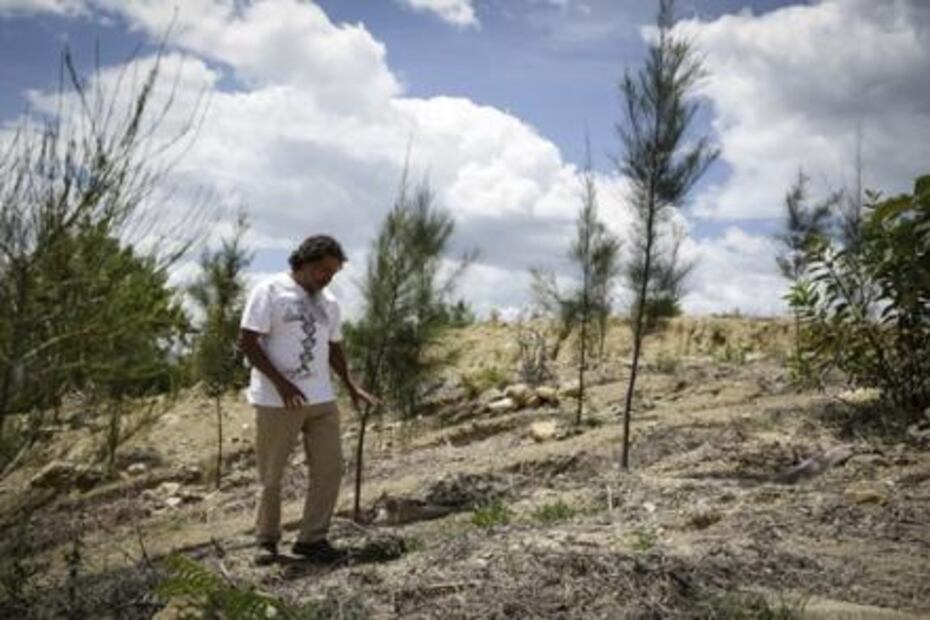 “El Quijote” que impulsa la reforestación 