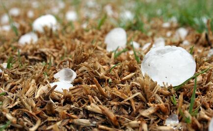 Enorme granizo mata a bebé durante violenta tormenta en España: "Le cayó una piedra en la cabeza" 