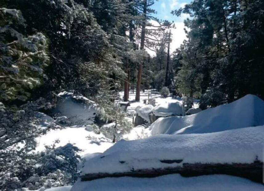 San Pedro Mártir, el mejor lugar en México para ver las estrellas