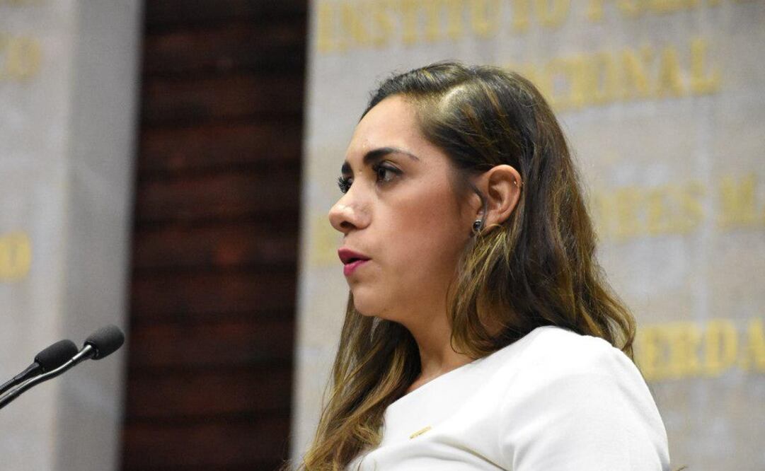 Dulce María Méndez, diputada de Movimiento Ciudadano. Foto; Especial