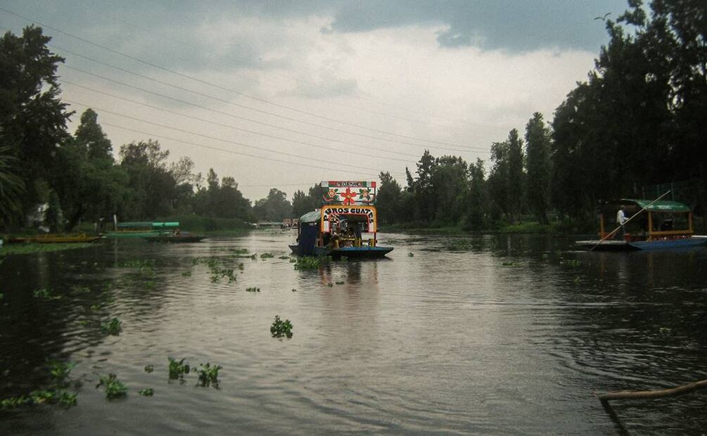 Foto: Brenda Huescas. Unsplash