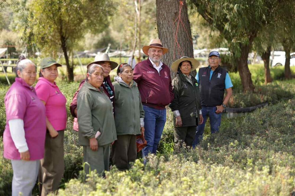 Alfredo Ramírez Bedolla, gobernador de Michoacán, anuncia siembra de árboles de zapote prieto este 25 de agosto. [Foto: Especial]