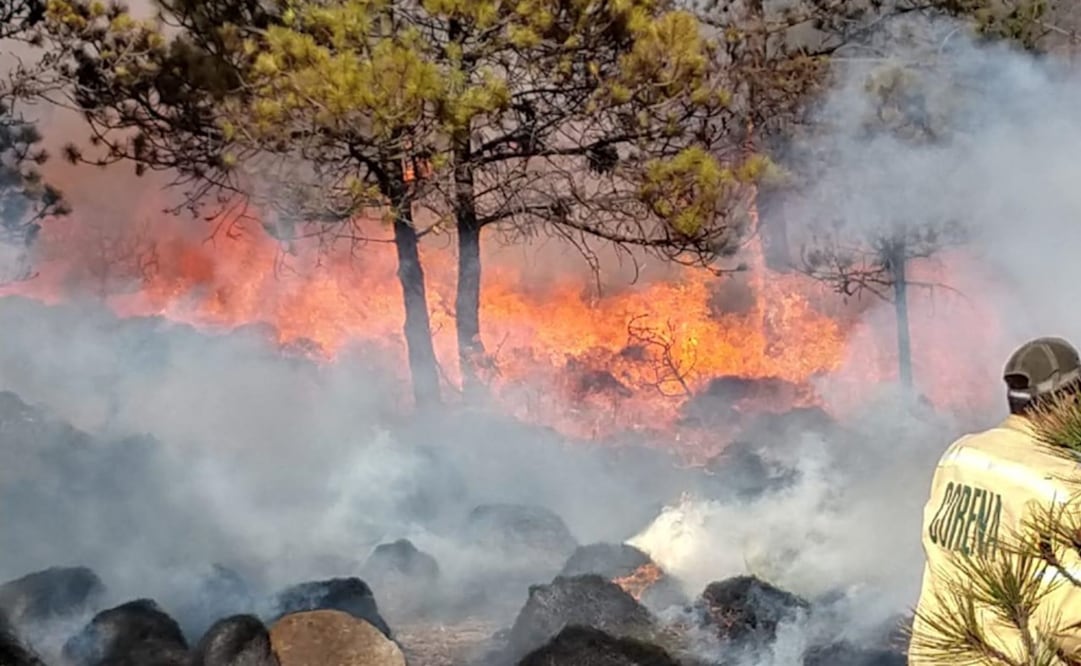 Fotografía: Especial