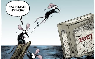 Precavidos