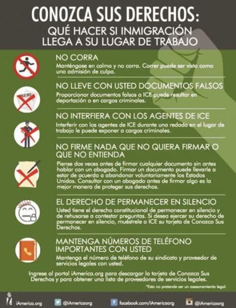 Arman en EU brigadas de defensa de migrantes