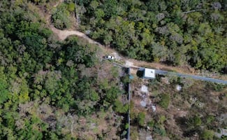 Profepa frena daños al Área Natural Protegida de Dzibilchaltún, Yucatán; pretendían instalar un rancho