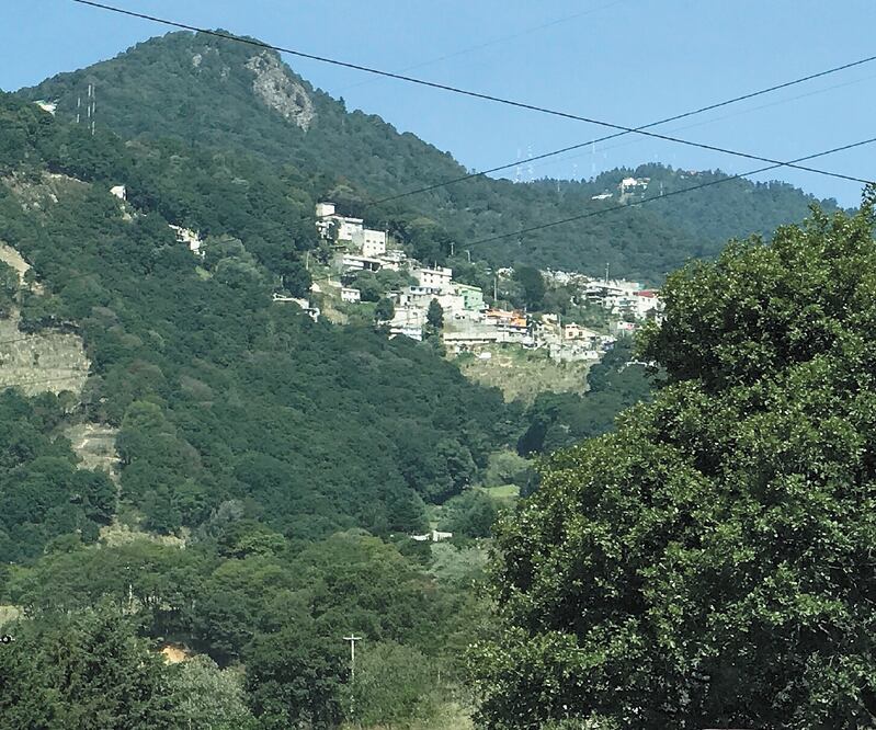 San Francisco Chimalpa es una zona ejidal en el bosque a unos 17 kilómetros del centro de Naucalpan. Los habitantes enfermos se trasladaron hasta la CDMX para ser atendidos. Foto: REBECA JIMÉNEZ. EL UNIVERSAL