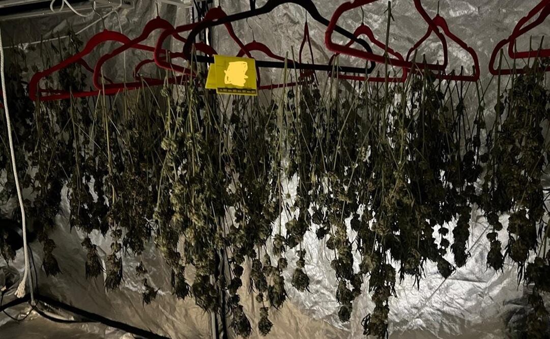 La diligencia se llevó a cabo en un fraccionamiento de la Supermanzana 331 de este municipio. Foto: Especial