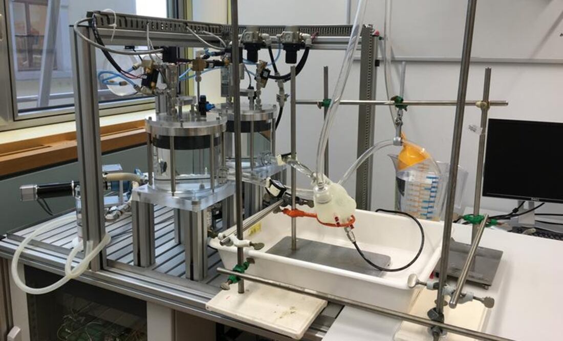 (FOTO: Universidad ETH Zurich)