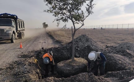Sheinbaum muestra imágenes de la construcción del Tren México - Pachuca; "¡Vamos con todo!", dice 