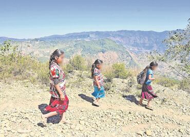 Documentan 100 muertes violentas de niñas y mujeres en la Montaña de Guerrero