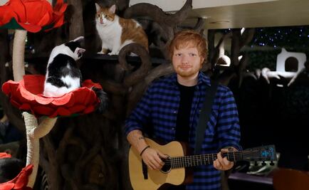 Ed Sheeran, el chico tímido que alcanzó el éxito