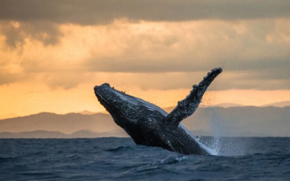 Este Patrimonio Mundial de México está en peligro: Unesco
