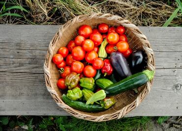 Qué comer después de un golpe de calor