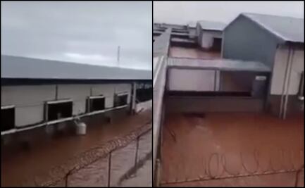 Marina rescata a seis trabajadores atrapados en una granja inundada en Guaymas