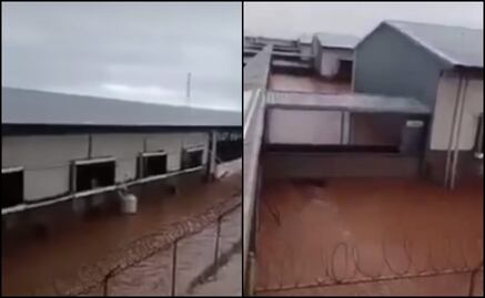 Marina rescata a seis trabajadores atrapados en una granja inundada en Guaymas
