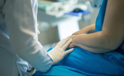 El mamífero que no envejece y puede ser clave para el tratamiento del cáncer