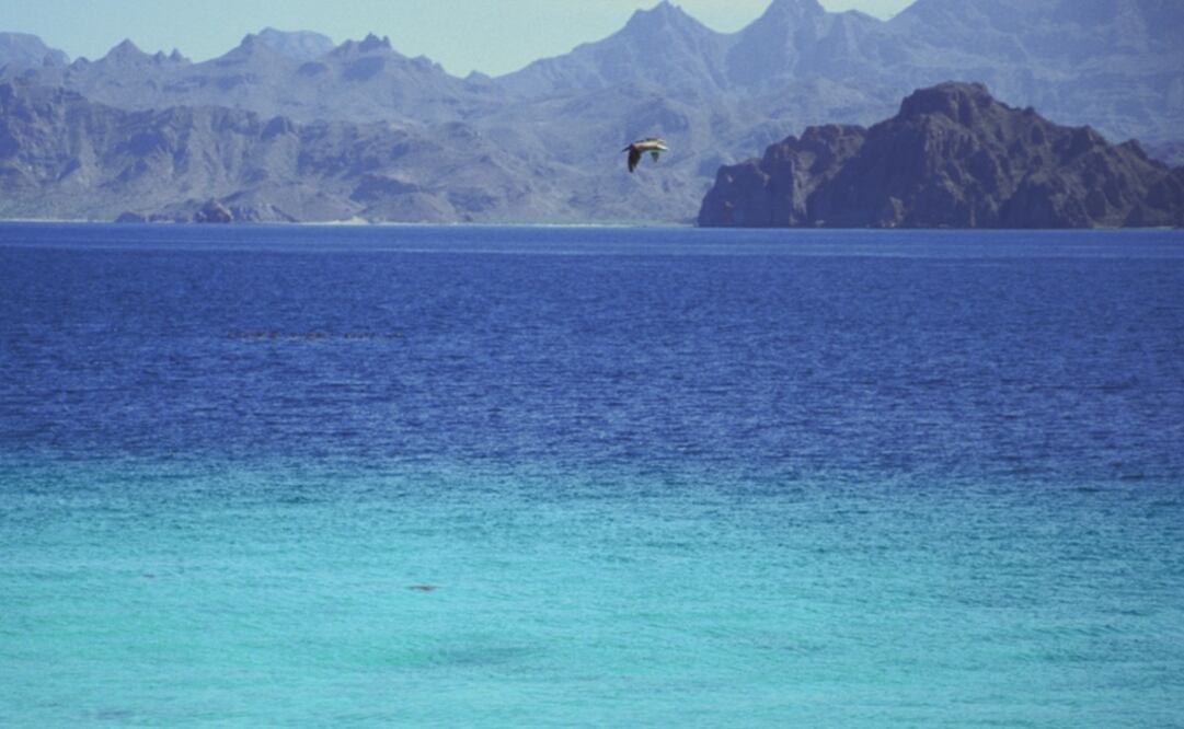 Bahia de Loreto National Park in the Sea of Cortez, Mexico – Photo: Terry Pritchard/AP
