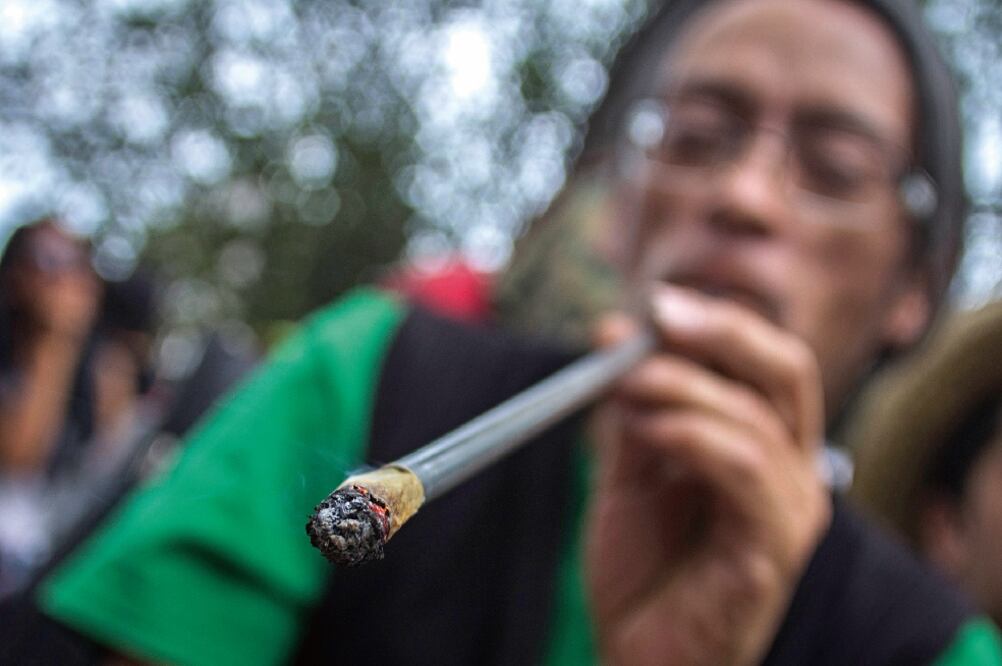 El Reporte Mundial de Drogas 2012 emitido por la ONU-Drogas destaca que en 2010 se cultivaron en el país más de 16 mil hectáreas de mariguana (ARCHIVO EL UNIVERSAL)