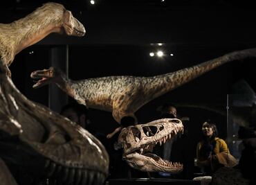 Dinosaurios en 360º, en uno de los mejores museos de Nueva York